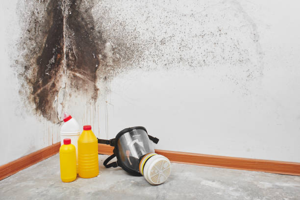 Best Insurance-Related Mold Remediation in Crenshaw, MS