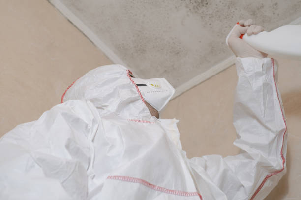 Best Residential Mold Remediation in Crenshaw, MS